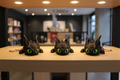 Fury Dragon Keychains
