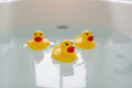 Rubber Duck